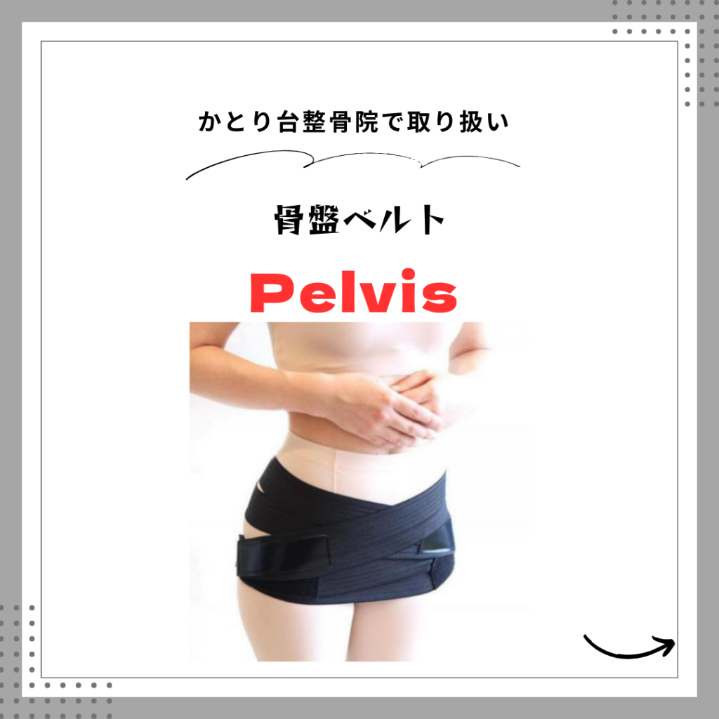 骨盤ベルト Pelvis - その他